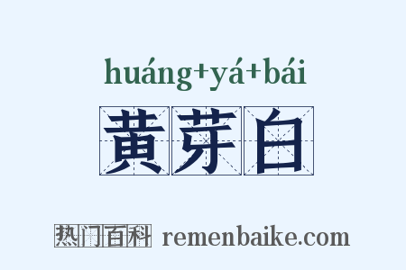 黄芽白是什么意思的图片
